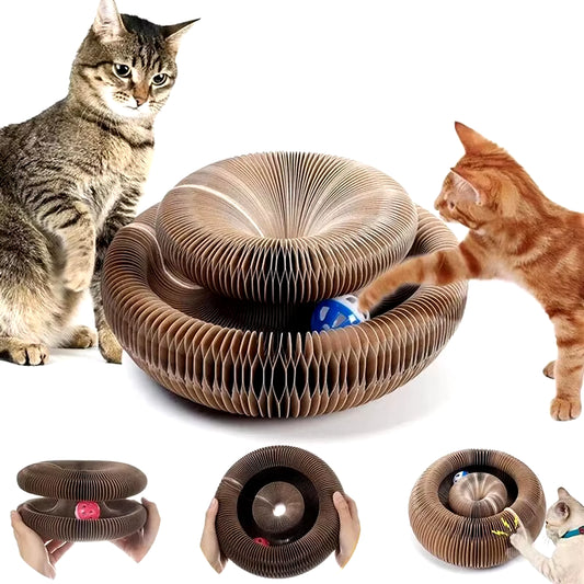 Premium Cat Scratch and Play Organ Board with Ball - Corrugated Claw Grinding and Climbing Frame for Kittens
